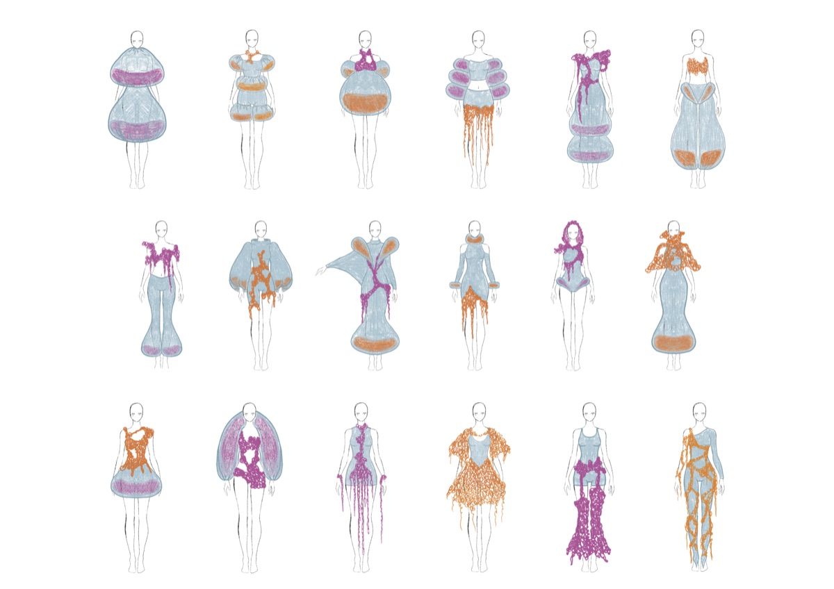 Jellyfish